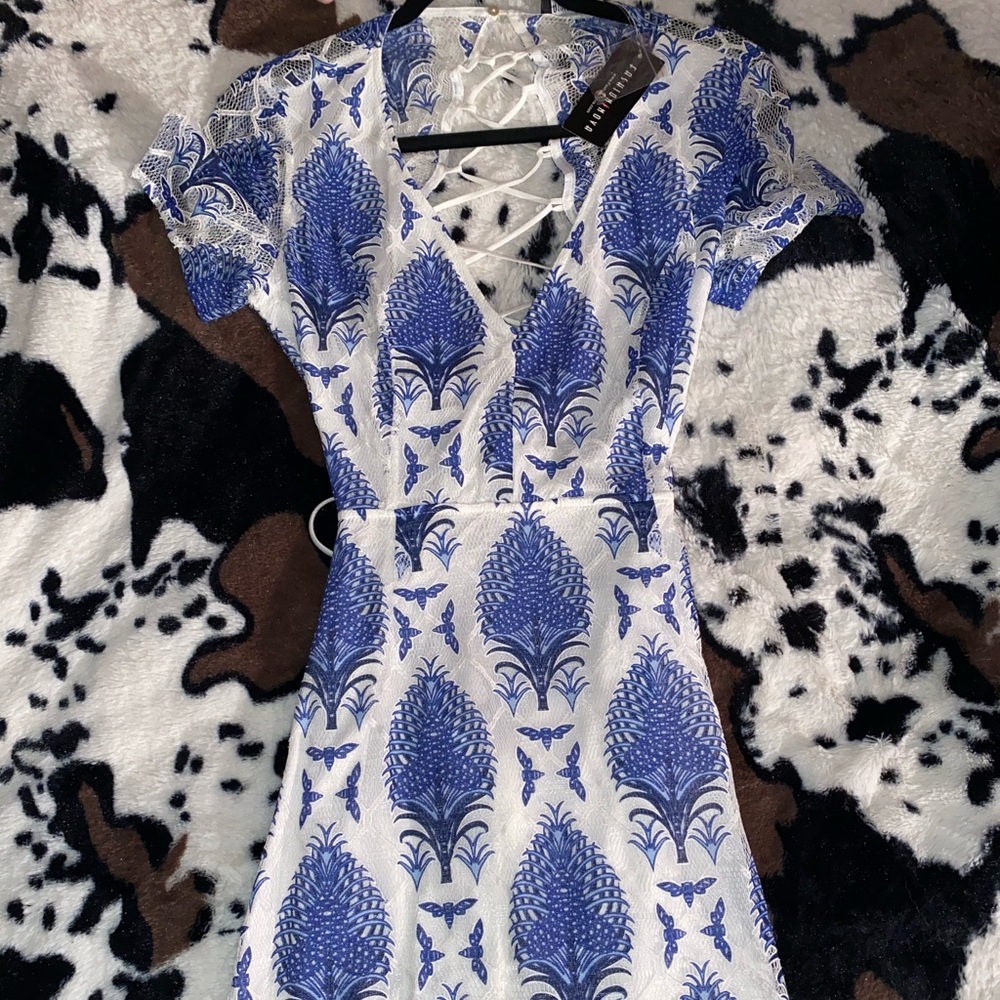 Fashionnova dress